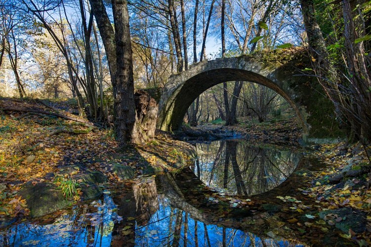 Promenade : La Forêt Royale - Saint-Paul-en-Forêt_Saint-Paul-en-Forêt