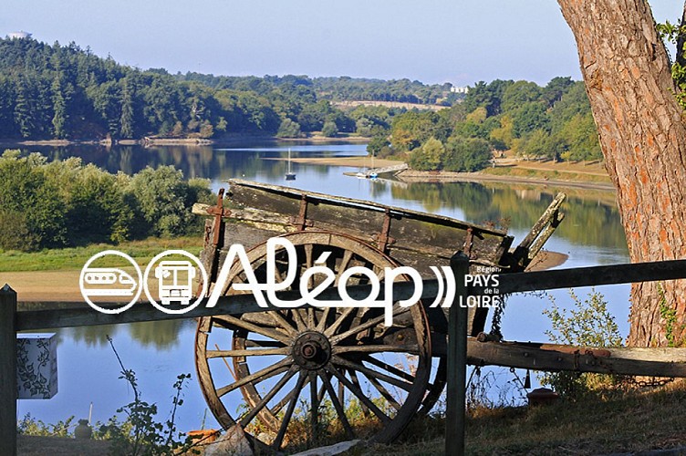 GR® 364 : de La Roche-sur-Yon aux Sables-d'Olonne, en 4 jours