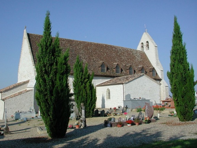 ITIAQU047FS0007T_MauvezinTerrier1