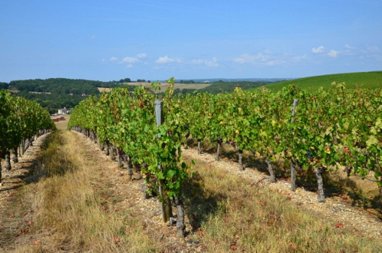 Bruch, points de vue sur la vallée de la Garonne