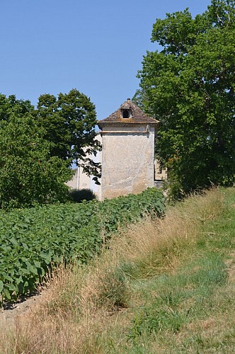 2015MontgaillardPéfaut3_Retaille