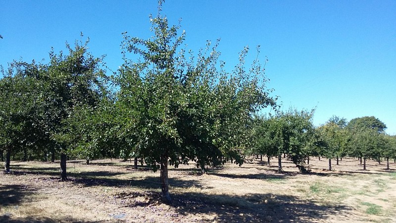 Cailladelles, randonnée de Crouzillac à Pech Redon