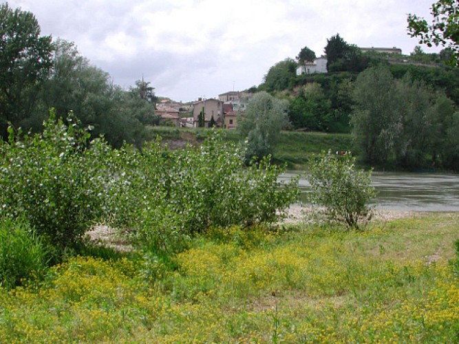 Meilhan-sur-Garonne, une ancienne place forte