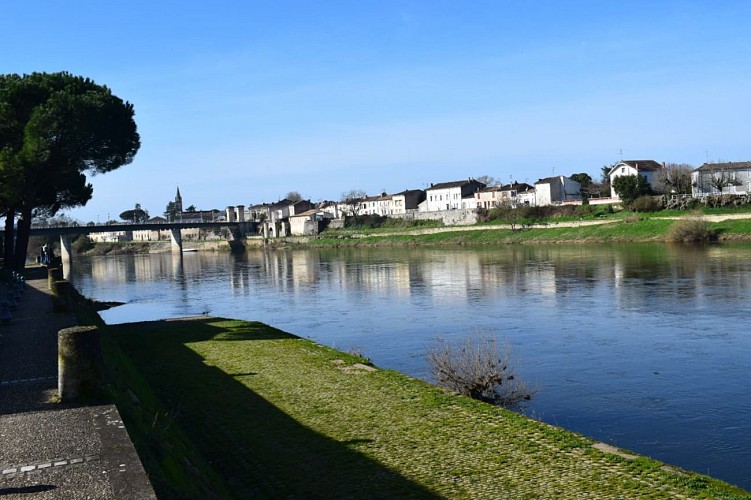 85195478_858288211286580_5370508801491337216_n