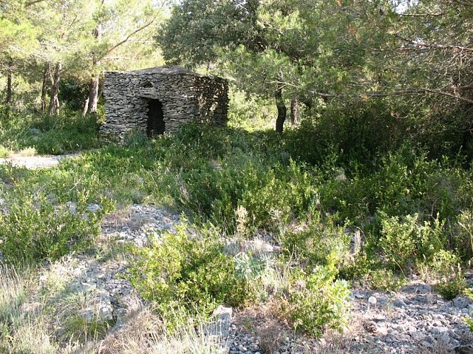 The “Capitelles” - The Cocalière Plain