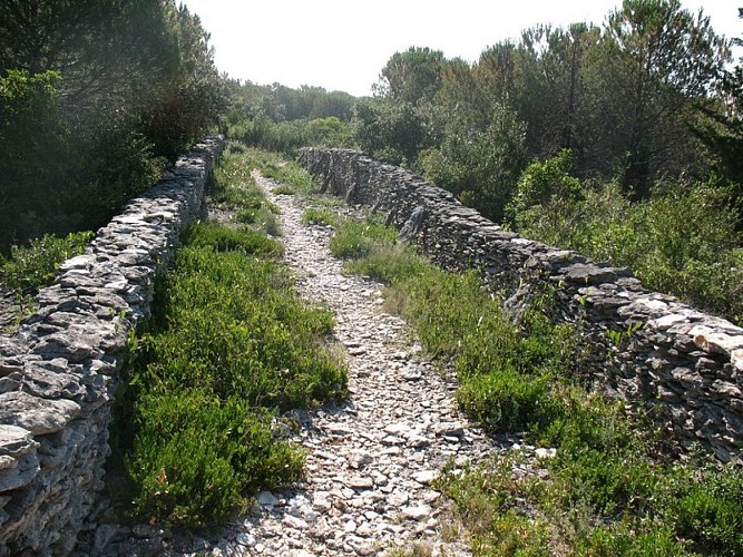 The “Capitelles” - The Cocalière Plain