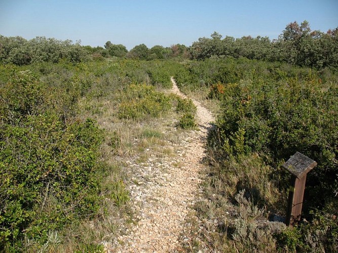 Les capitelles - La Plaine de la Cocalière