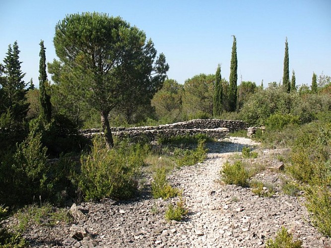 Les capitelles - La Plaine de la Cocalière
