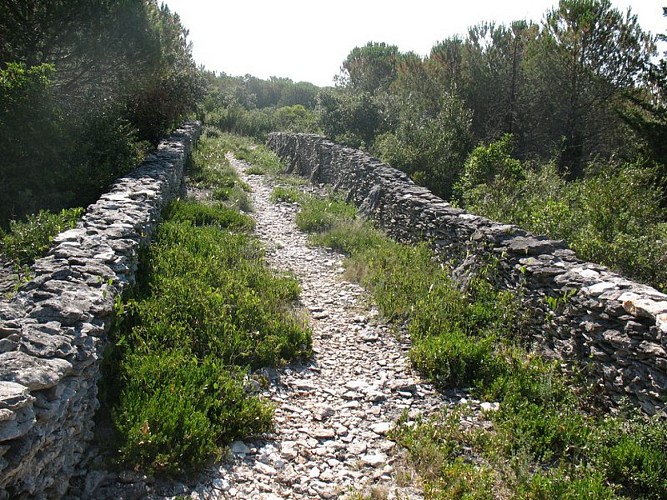 Les capitelles - La Plaine de la Cocalière