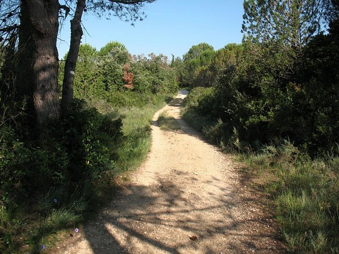 Les capitelles - La Plaine de la Cocalière
