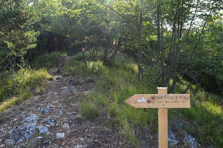 De la Baisse de Scuvion au Mont Razet