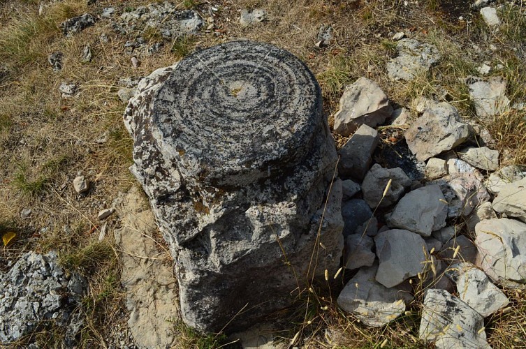 Curiosité au sommet