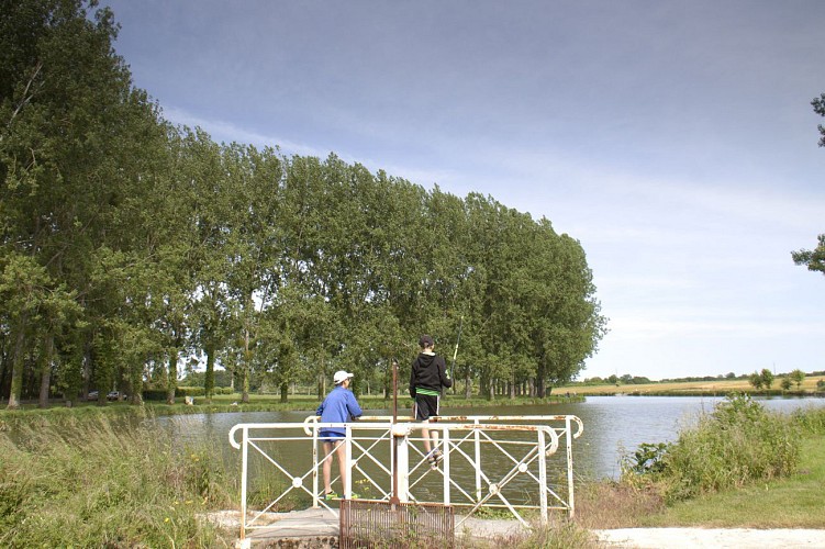 Le Giennois à vélo - Aux portes de la Bourgogne