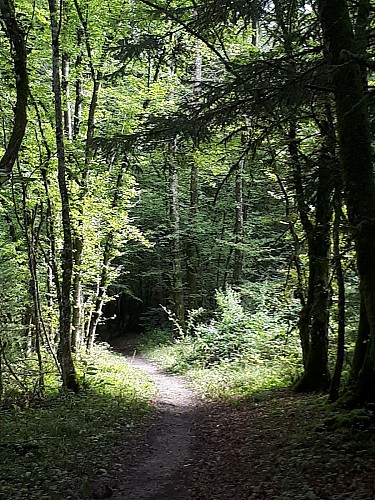 Rivage" mountain bike trail