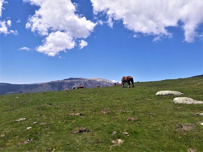 Vue depuis le Col de l'Homme Mort sur le Campcardos
