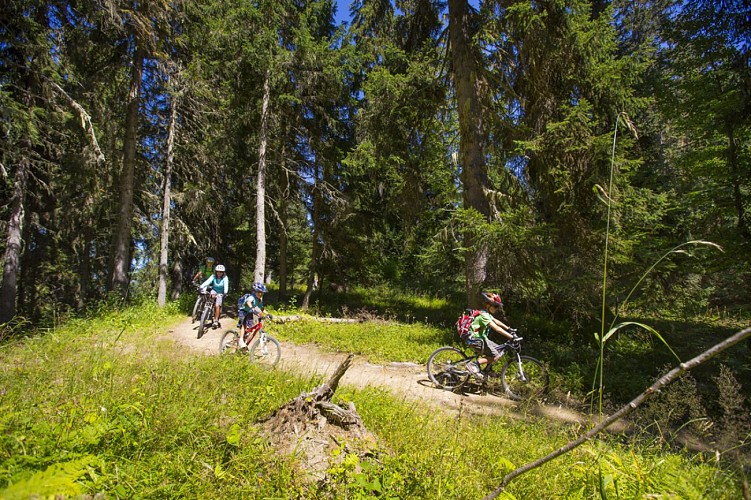 Parcours VTT enduro "Enduro Doucy"