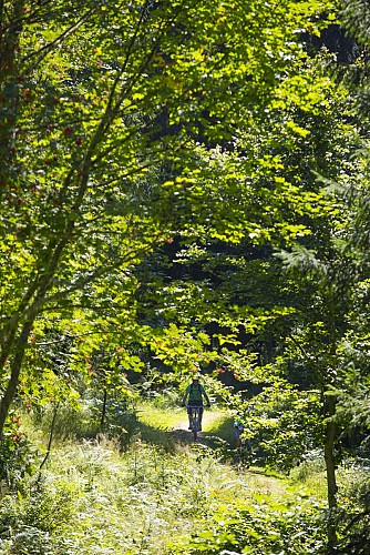 Parcours VTT enduro "Enduro Doucy"