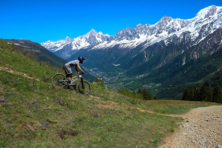 Descenso en BTT: Prarion - Les Houches Alpages Respect