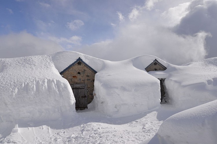 Loriaz-Alm über Le Couteray