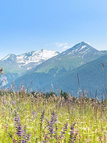 Cross-country: Le Verney