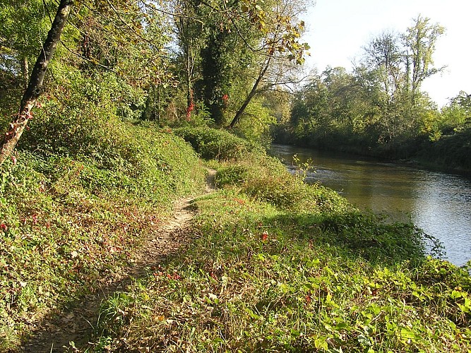 Between Rhône and Guiers - Mountain bike circuit n°21