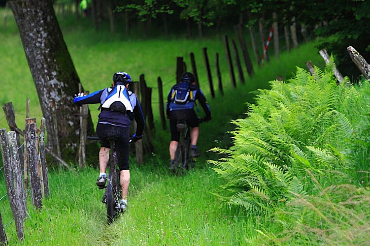 Raclet loop - Mountain bike circuit n°29