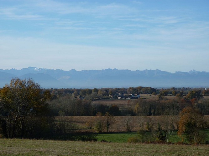 circuit randonnée sedzère crédit tourisme Nord Béarn novembre 2020 28 (2)