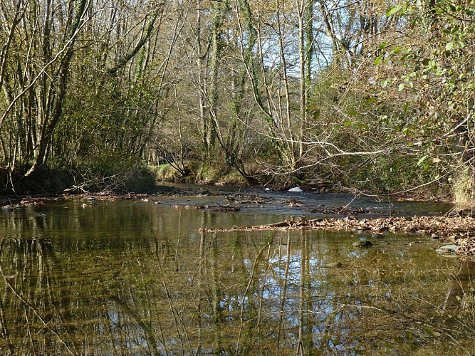 circuit randonnée sedzère crédit tourisme Nord Béarn novembre 2020 28 (29)