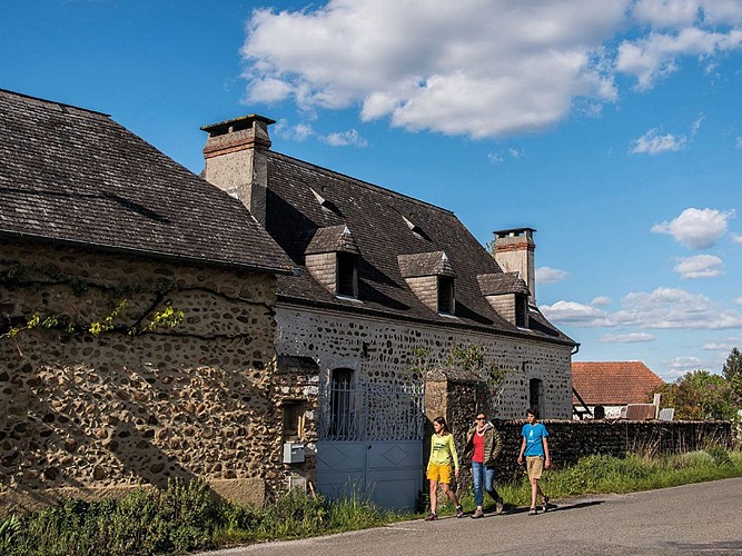 9 ouillon entre lande et foret randonnée 2 © peio Gaillard Montamigo