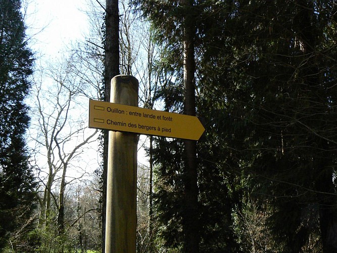 ouillon randonnée entre lande et foret  