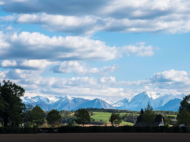 Serres-Morlaàs randonnée forêt de Lahitau  Panorama sur les Pyrénées 