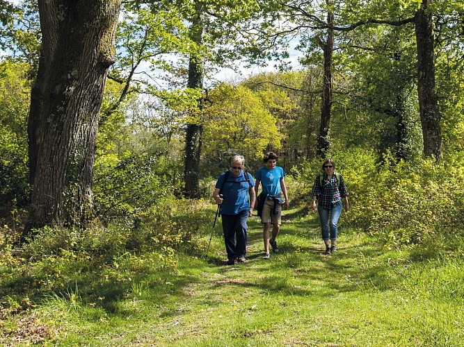 18 Saubole long lees randonnée 2 © peio gaillard Montamigo