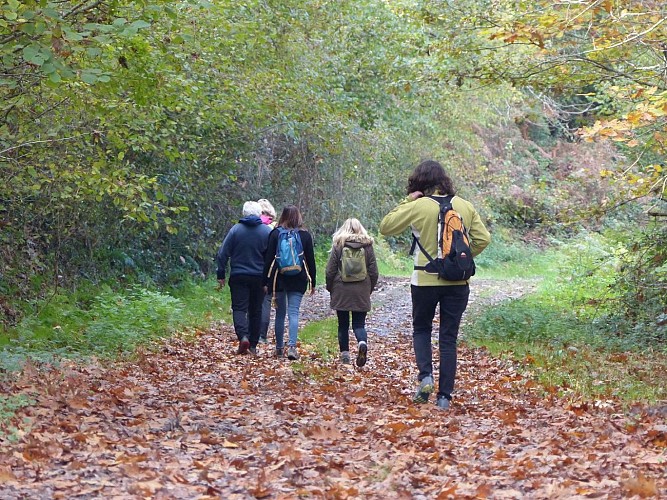 PR11 Montagut Le luy de France randonnée pédestre novembre 2021 crédit syndicat tourisme nord bearn madiran (56)