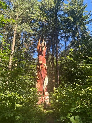 CIRCUIT DE LA CROIX BLANCHE - FORÊT DE NEUFEYS