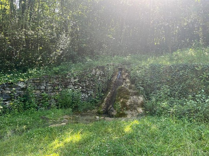 Circuit de la croix blanche - forêt de Neufeys