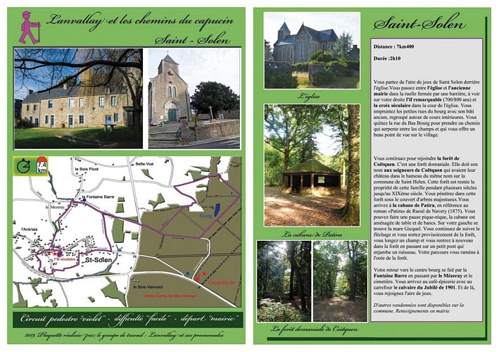 Carte circuit violet
