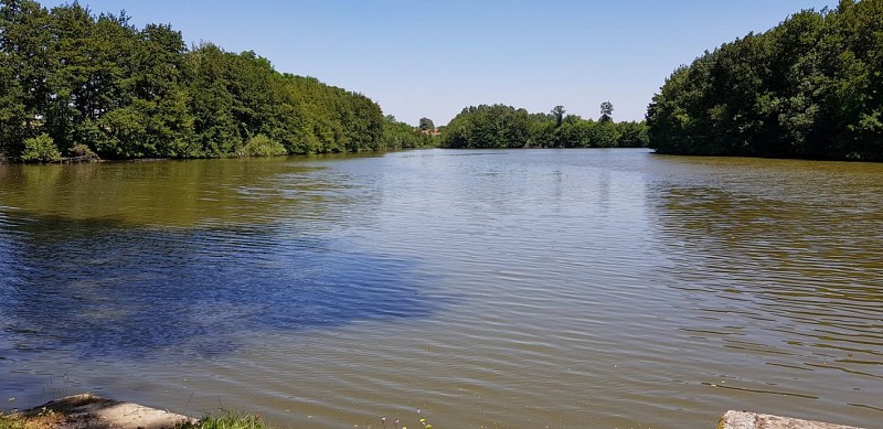 Découverte de Saint Germain du Bois - Etang