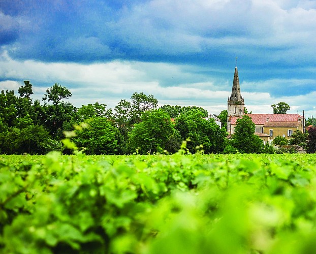 Saint-Seurin-de-Cadourne - Plus belles balades - Gironde Tourisme-2
