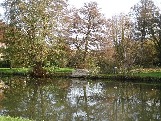 Étang Mont La Ville