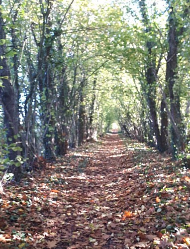 Corps-Nuds : la Saudrais (circuit long)