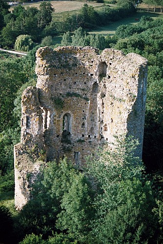 Chateau féodal de Fréteval
