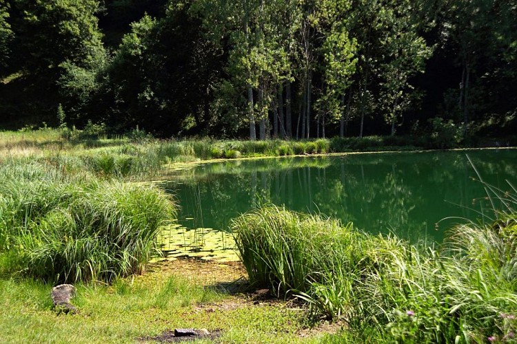 Le lac de Saint Sixte