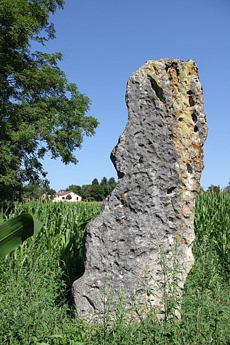 Menhir de Pierre et gués du Suran