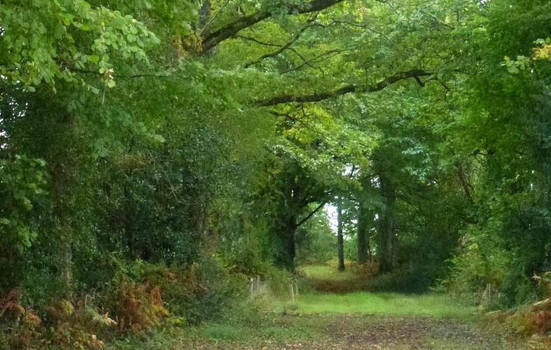Chemin de Bonnefond