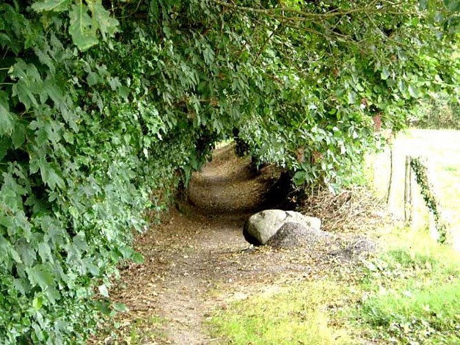Chemin de Bonnefond