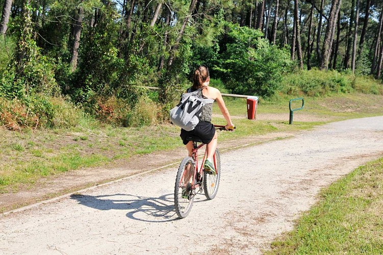 Balade entre golf et forêt à Anglet