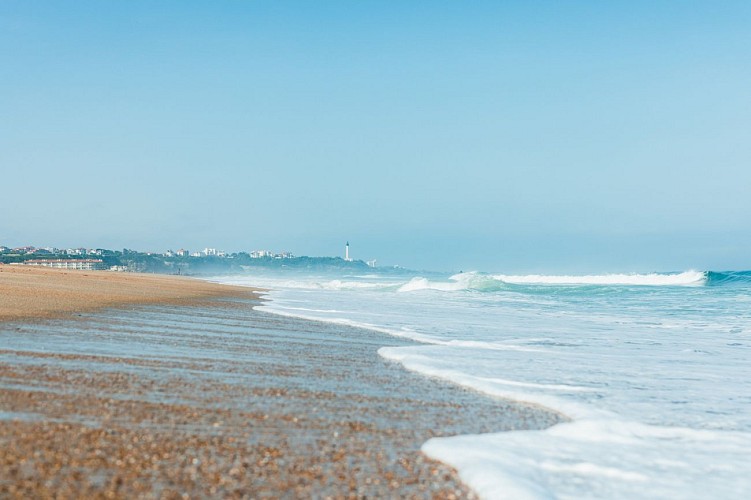 Balade entre golf et forêt à Anglet