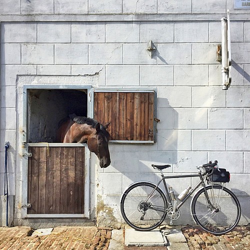 Paardenboerderij