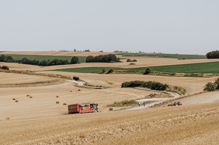 Cyclists in the plains of the Aisne