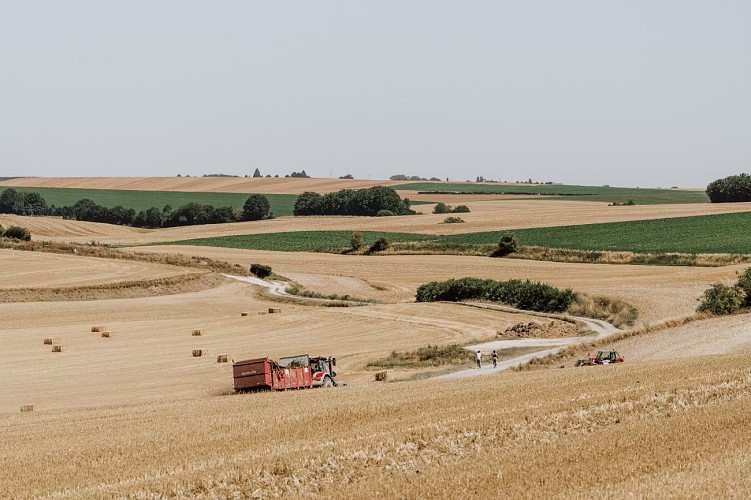 Cyclistes dans les plaines de l'Aisne